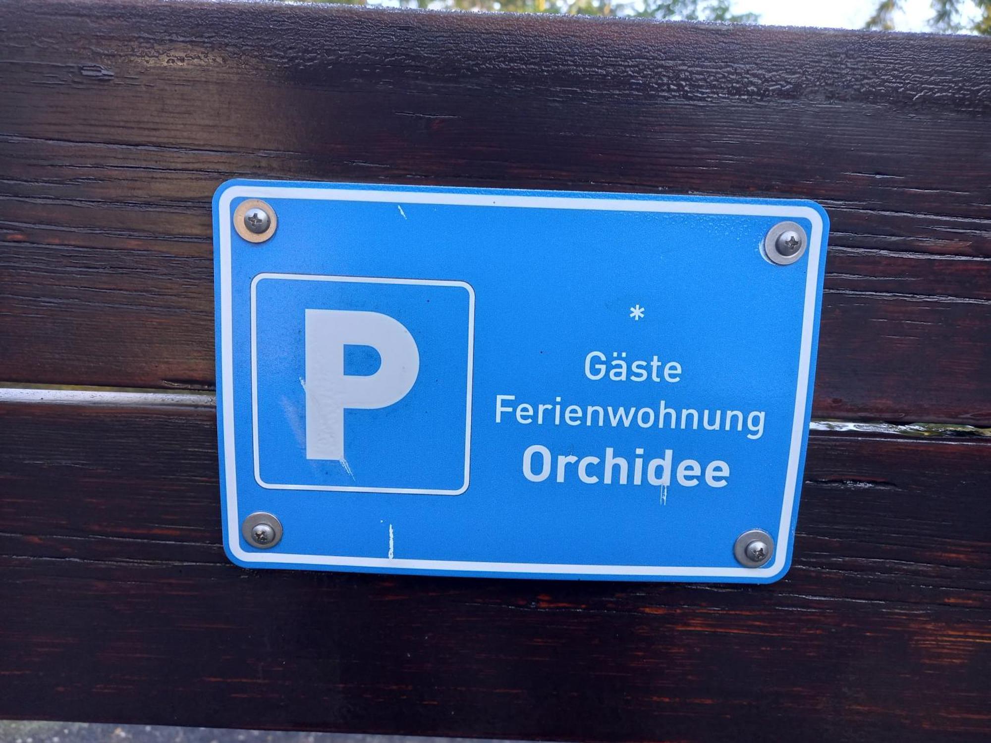 Orchidee Bad Muenstereifel